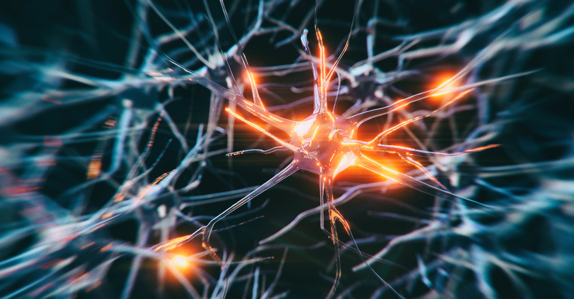 Multiple Sklerose und entzündliche Erkrankungen 